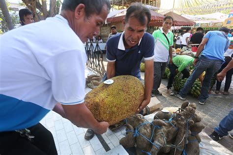 department of agriculture san fernando la union|Department of Agriculture .